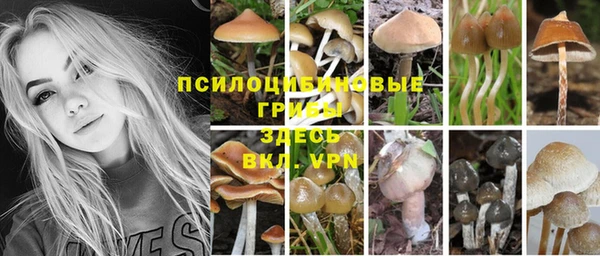 хмурый Остров