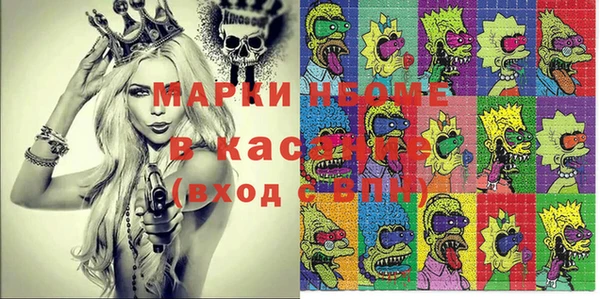 прущие грибы Алексеевка