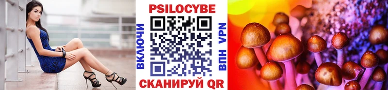 купить   Льгов  Галлюциногенные грибы Magic Shrooms 